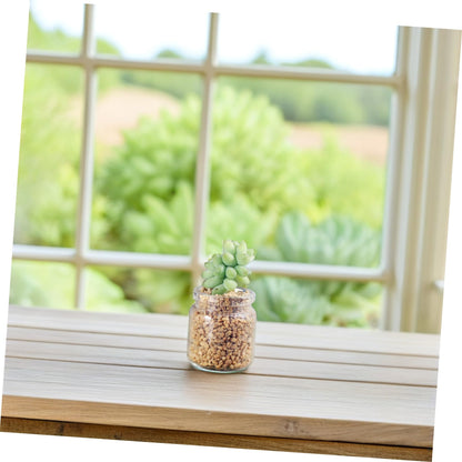 Toyvian 10pcs Elegant Miniature Glass Succulent Vases for Air Plants Display Micro Landscape Bottle Plant Propagation Jars