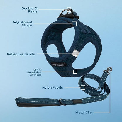 Best Pet Supplies Voyager Step-in Air All Weather Mesh Harness and Reflective Dog 5ft Leash Combo with Neoprene Handle, for Small, Medium and Large Breed Puppies - Blue, Medium