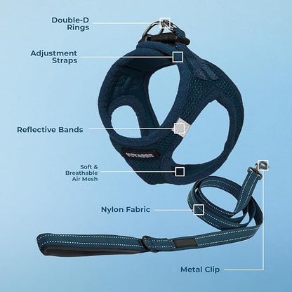 Best Pet Supplies Voyager Step-in Air All Weather Mesh Harness and Reflective Dog 5ft Leash Combo with Neoprene Handle, for Small, Medium and Large Breed Puppies - Blue, XX-Small