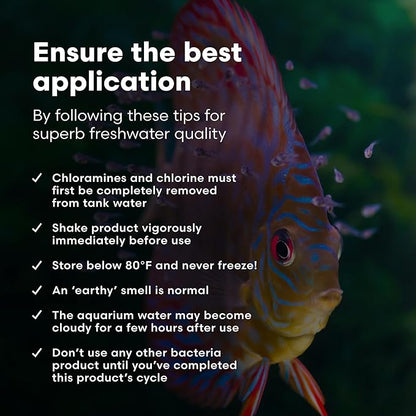 Brightwell Aquatics MicroBacter Start XLF - Concentrated Freshwater Nitrifying Bacteria - Quick Start Fish Tank Starter, Lift Microbe Levels & Water Filtering - Aquarium Water Treatments, 4.22 fl oz