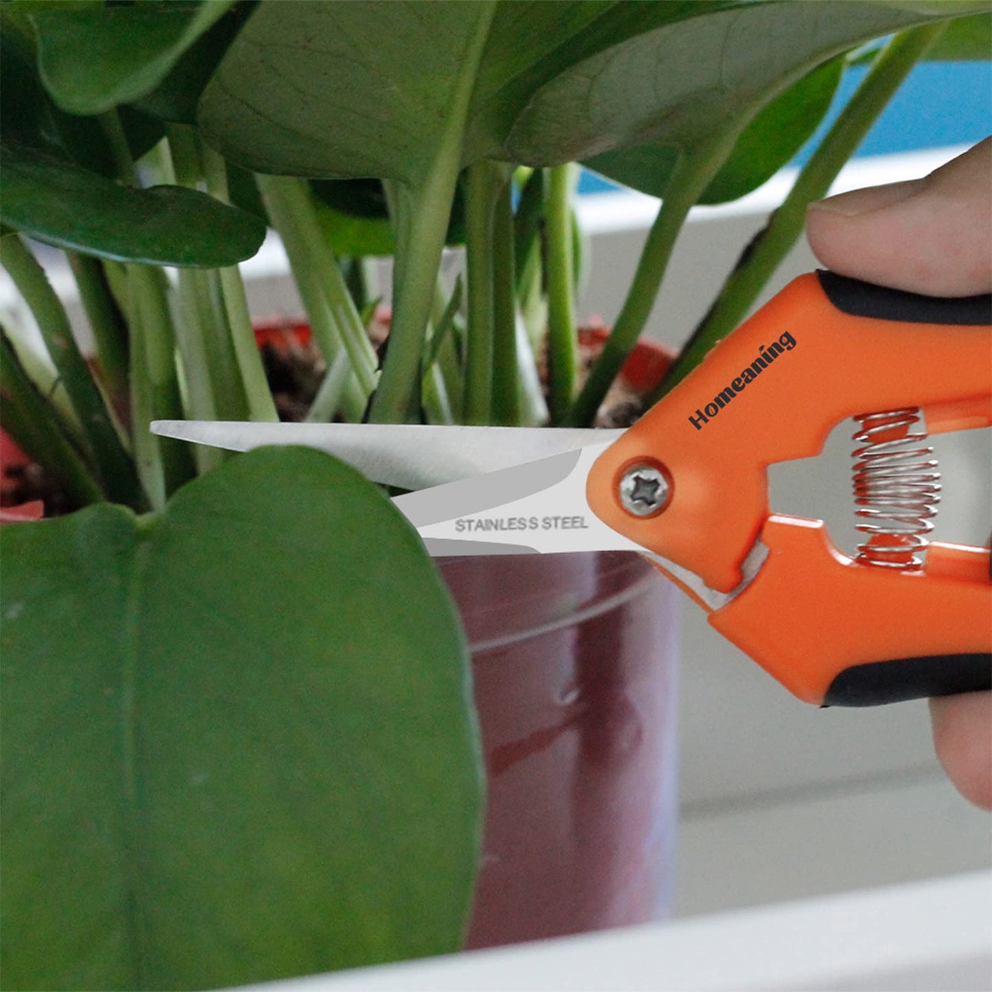 HOMEANING 6 Packs Garden Pruning Shears with Straight Blades Trimming Scissors, Gardening Hand Pruning Snips Titanium Coated Precision Bonsai Pruning Shears, Convenient Flower Cutters (Orange)
