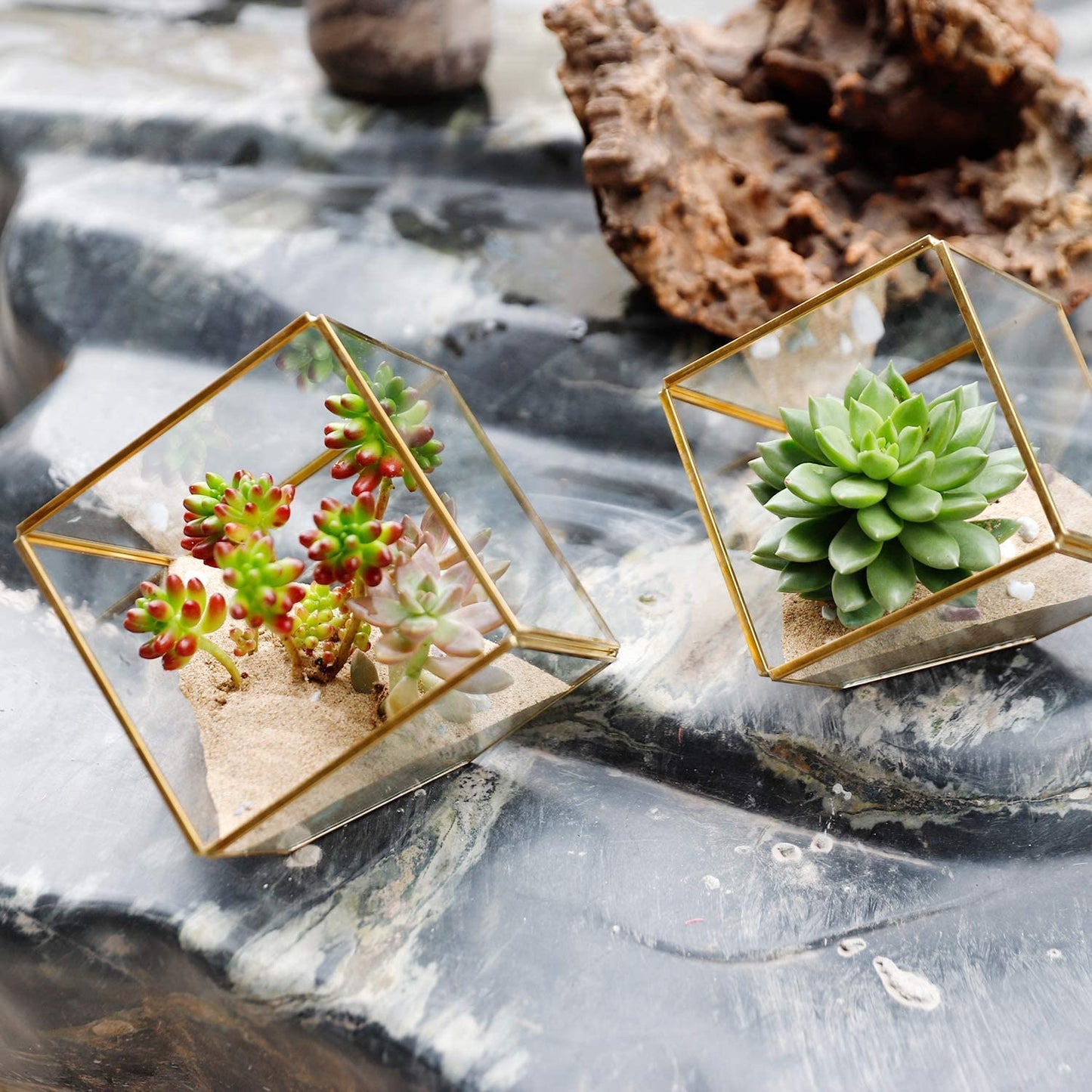 ELEGANTLIFE Glass Geometric Plant Terrarium,Succulent & Air Planter for Home Garden Office Decoration(Gold Cubic Set of 2)