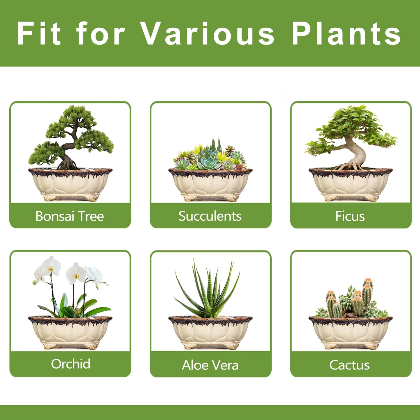 Teagas Ceramic Bonsai Tree Pots - 11 Inch Succulent Pots with Drainage Hole, Decorative Bonsai Pot for Indoor Outdoor Plants, Succulent Planters, Front Porch Decor, Gardening Gifts, Oval Beige-Brown