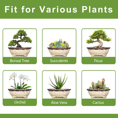 Teagas Ceramic Bonsai Tree Pots - 11 Inch Succulent Pots with Drainage Hole, Decorative Bonsai Pot for Indoor Outdoor Plants, Succulent Planters, Front Porch Decor, Gardening Gifts, Oval Beige-Brown