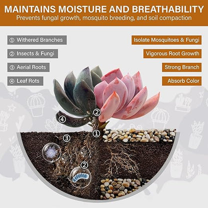 NUPICK 12lb River Rocks for Plants Indoor, 3/8 Inch Mixed Pebbles for Vase Fillers, Decorative Pea Gravel for Fish Tank, Natural Polished Stones for Succulent, Bonsai, Landscaping, Bird Baths