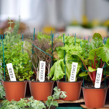 Bluckincle 100 Pcs 4 Inch Plant Nursery Pots and 8 Pack 4.7 Inch Plant Pots Indoor Outdoor