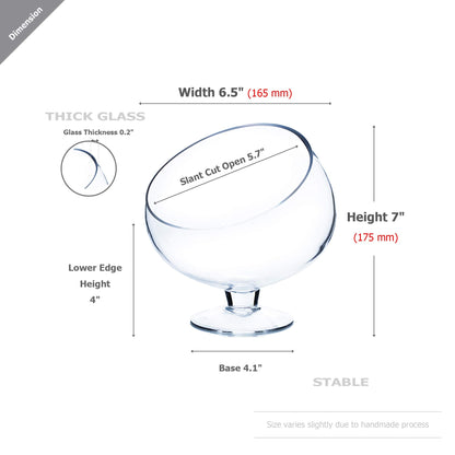 WGV Slant Cut Bowl Glass Vase with Stand, Width 6.5", Height 7", Clear Planter Terrarium, Candy Dish, Fruit Jar for Wedding Party Event, Home Office Decor, 1 Piece