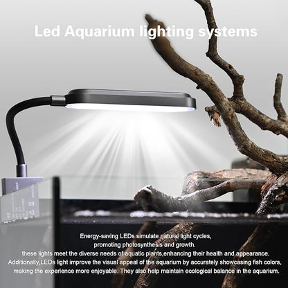 2.8 Gallon Small Aquarium Set Glass Fish Tank,Nano Nature Aquarium Kit with Waterfall Filter and Light for Beginners and Children to Keep Betta Fish, Goldfish, Shrimp, and Aquatic Plants