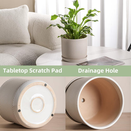 Chubacoo 8 Inch Plant Pot: Ceramic Planter with Drainage Hole & Saucer Indoor Outdoor Plants - Flowerpot with Bonded Tray for Home Office - Beaded Embossed Style, Cream White