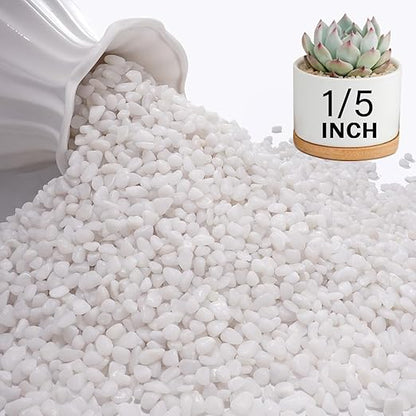 NUPICK 12 lbs Pebbles for Indoor Plants, 1/5 Inch Pea Gravel for Fish Tank, Polished Decorative Rocks for Succulent, Natural River Stones for Vases, Cactus, Landscaping, Bird Bath, Aquarium, White