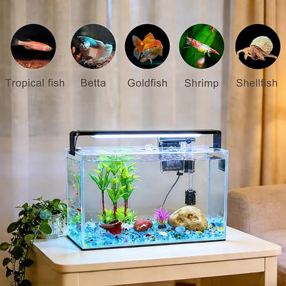 3.2 Gallon Fish Tank, Nano Nature Aquarium,Small Aquarium Starter Kit,Ultra-Clear Rimless Desktop Small Aquarium with Filter,Light,Rainforest Sand,Rock for Betta,Shrimp,Goldfish,Clear Glass