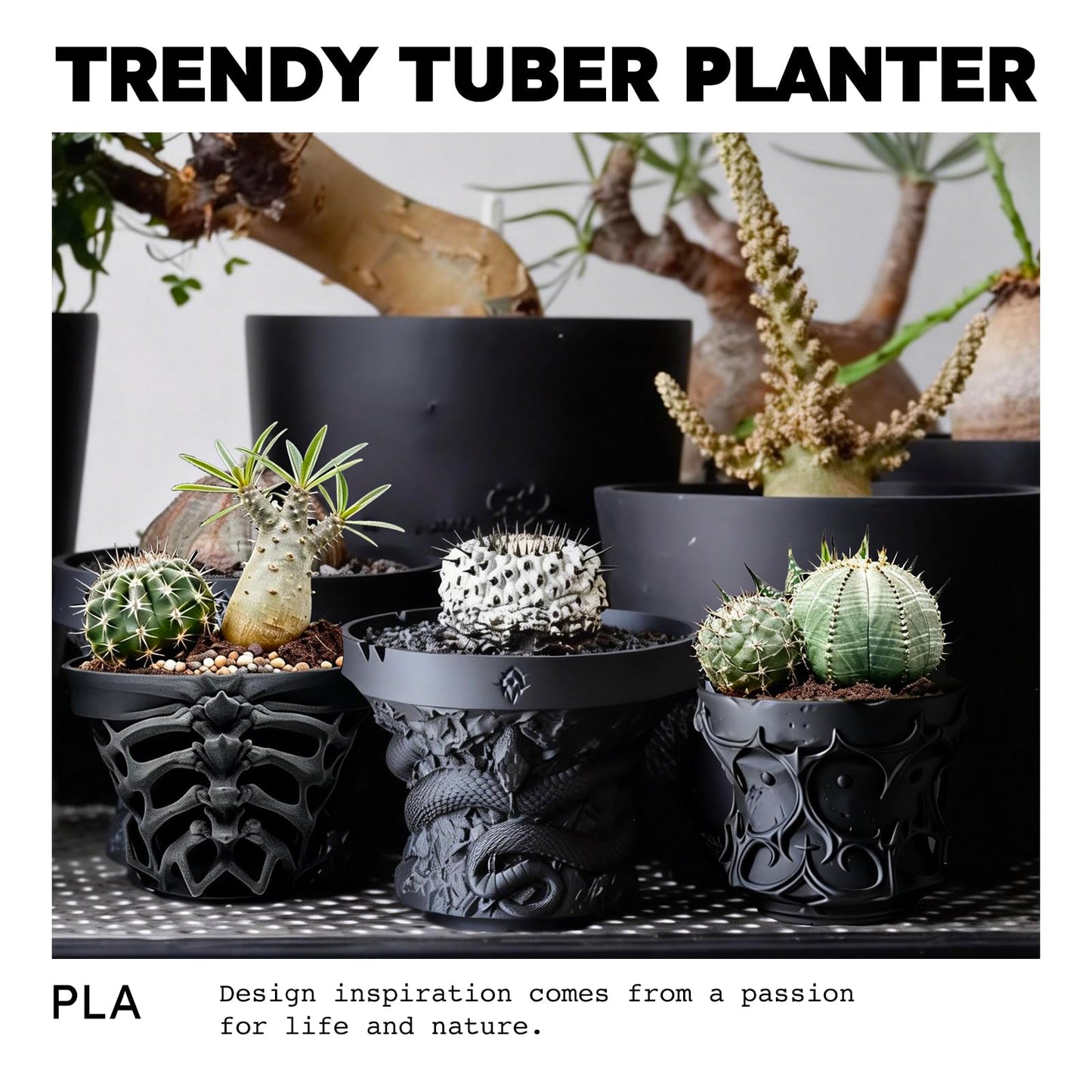 Dak Haan Succulent Pot with Drainage – Indoor Plant Pots, Artistic Design Flower Pots,Personalized Custom Mothers Day Plant Pot, ShallowSucculents Pots Bowls for Home, Office, Weddings & Party Décor