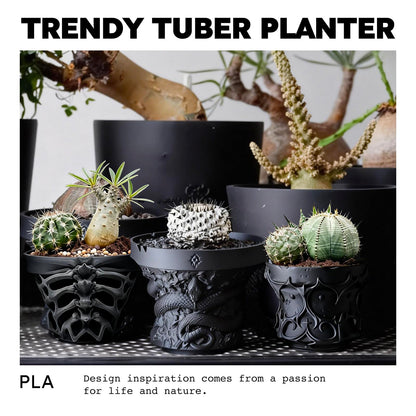 Dak Haan Succulent Pot with Drainage – Indoor Plant Pots, Artistic Design Flower Pots,Personalized Custom Mothers Day Plant Pot, ShallowSucculents Pots Bowls for Home, Office, Weddings & Party Décor