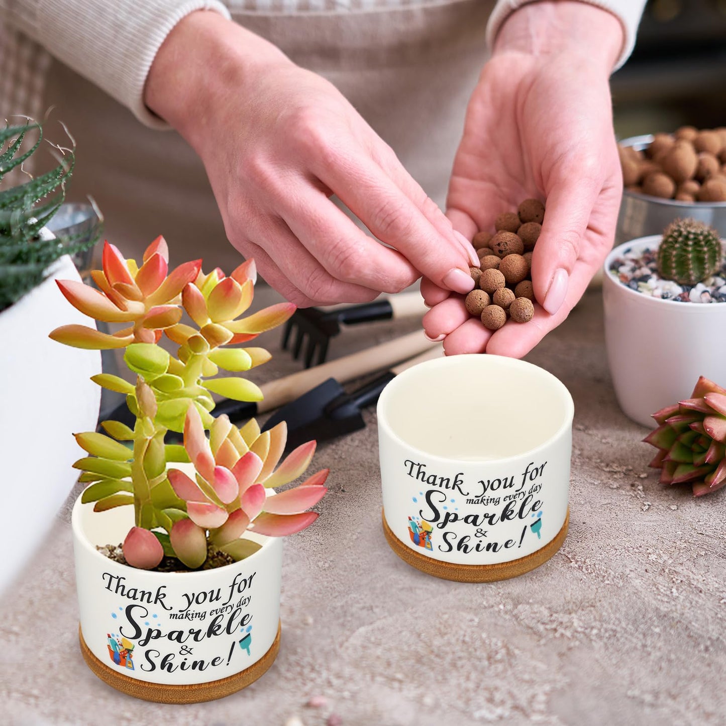 6 Set Social Worker Gift for Christmas Ceramic Succulent Planter Pot Employee Appreciation Gift for Team Coworker Xmas Housewarming Gifts Women Office Staff Teacher Nurse Hospital Housekeeper