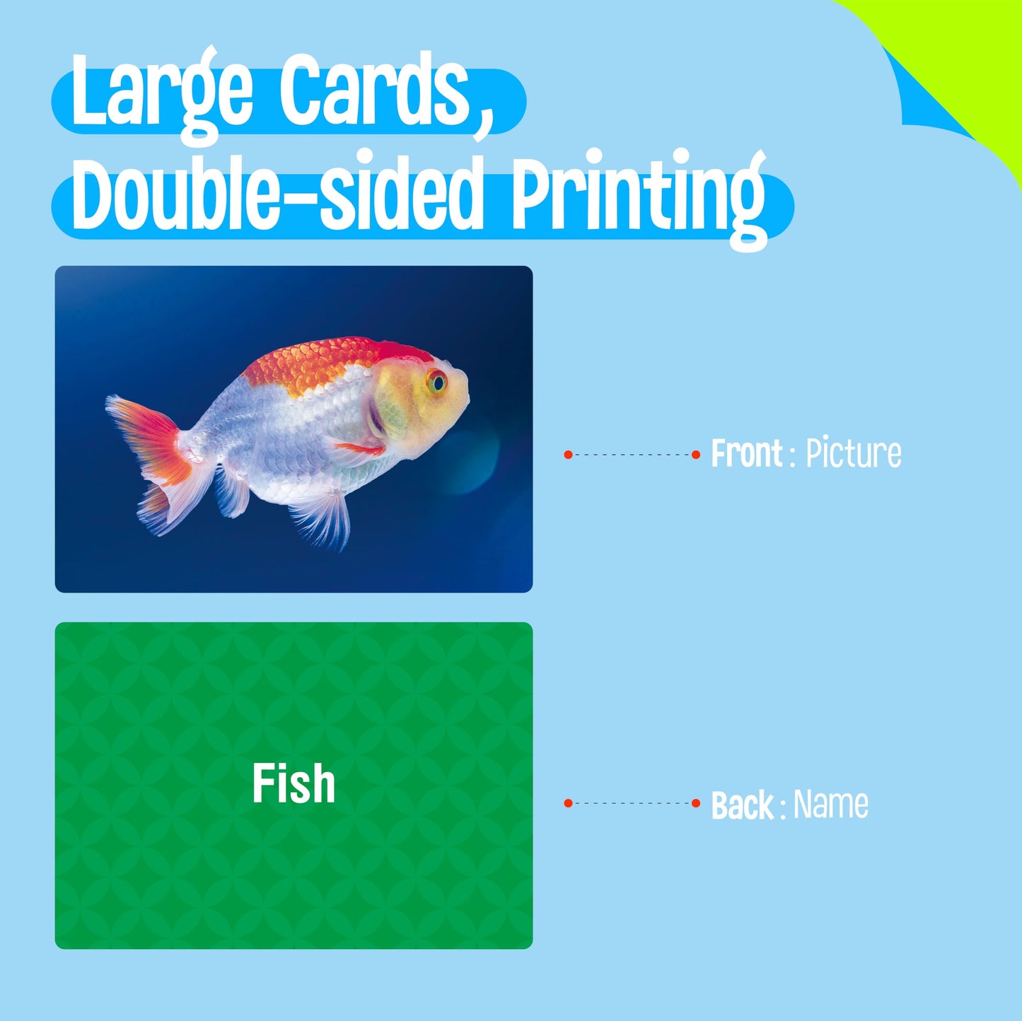 50 Noun Flashcards, Picture & Word Photo Cards Language Builder Visual Aid Language Learning Tool for Autism, ESL Teaching Materials for Adults, Non-Verbal Children Vocabulary Builder for Kids