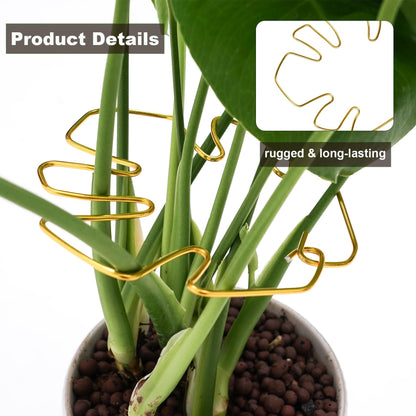6PCS Monstera Plant Stem Support , Monstera Stabilizer Grapple Holder Unique Design for Turtle Shell Bamboo Clamp Set, Ideal Plant Support Stakes for Thriving Growth Indoor Climbing Plant (Gold)