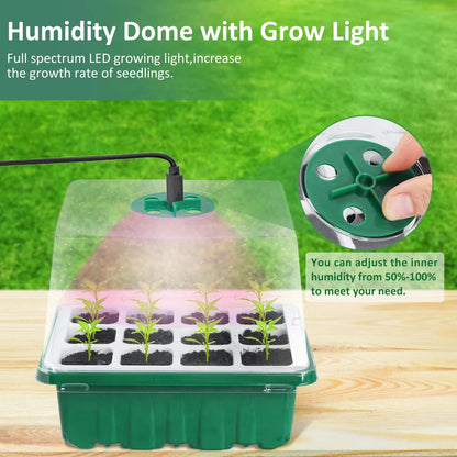 Rarello 5 Packs Seed Starter Tray with Grow Light, Reusable Pop-Out Seed Starter Kit, 60 Cells With Humidity Domes, Indoor Gardening Plant Germination Trays for Seeds