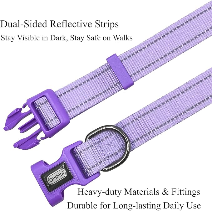 Dog Collar Leash Set,with Relfective Strips,Lilac Purple,Extra Small. | Adjustable Collar,5 ft Matching Leash,Neoprene Padded Handle.