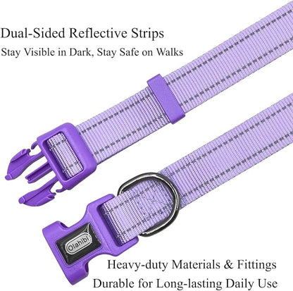 Dog Collar Leash Set,with Relfective Strips,Lilac Purple,Small. | Adjustable Collar,5 ft Matching Leash,Neoprene Padded Handle.