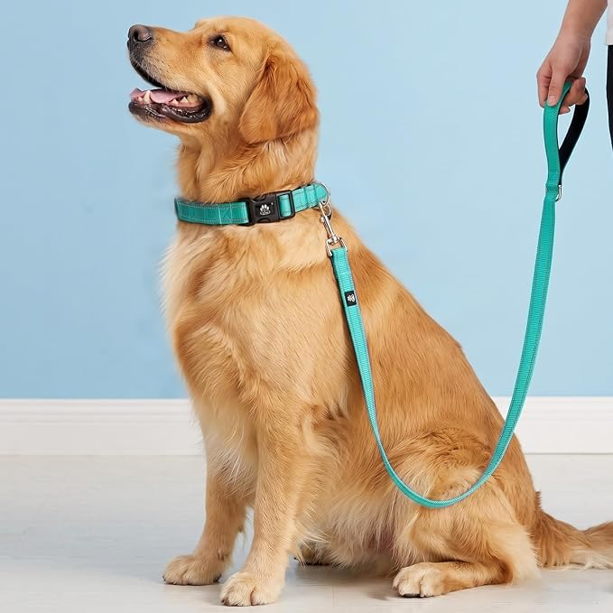 FURRYFECTION Reflective Dog Collar and Leash Set with Quick Release Buckle, Padded with Neoprene Adjustable Nylon Dog Collar for Small Medium and Large Dogs (Large Collar+5FT Leash, Teal)