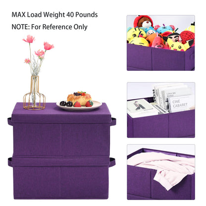 HOONEX Storage Bins with Lids for Organizing, Pack of 2, Storage Boxes with 2 Carry Handles and Sturdy Heavy Cardboard, 16.5" L x 11.8" W x 7.5" H for Shoes, Books, Clothes, Nursery, Dark Purple
