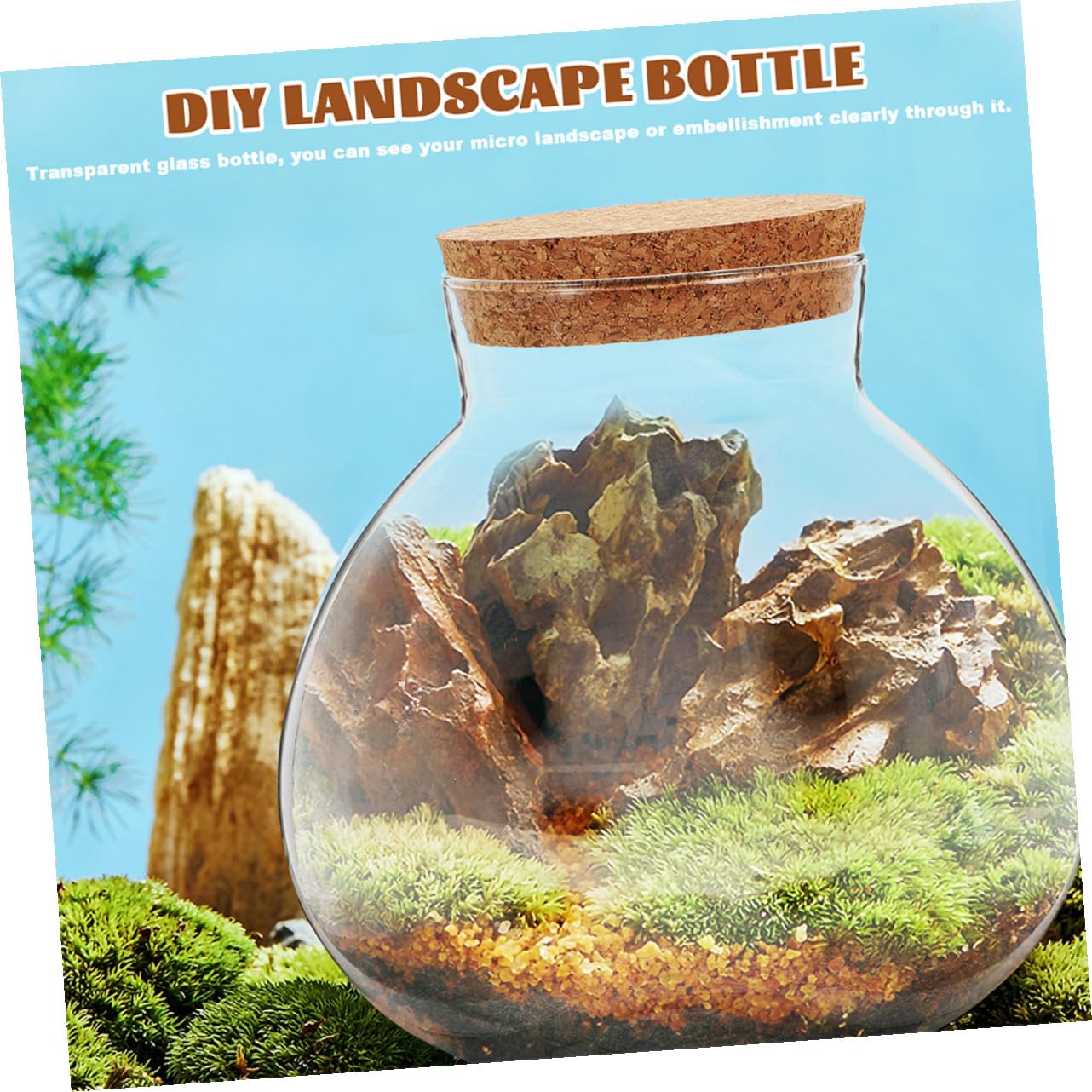 BESPORTBLE Microlandscape Ecological Bottle Cork Stopper – Round Glass Terrarium Container for Moss Plants – Decorative Planter for Home Office and Garden