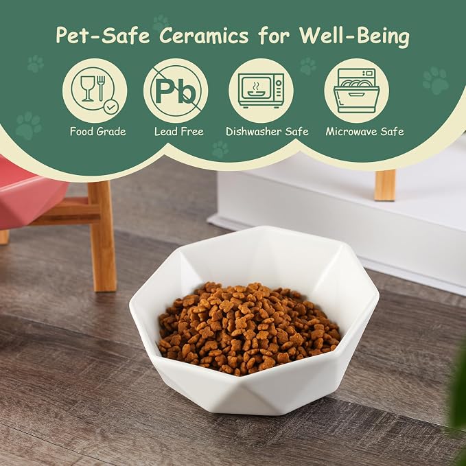 Green with Stand Ceramic Tilted Elevated Raised Pet Bowl with Bamboo Stand for Cats and Dogs No Spill Pet Food Water Feeder