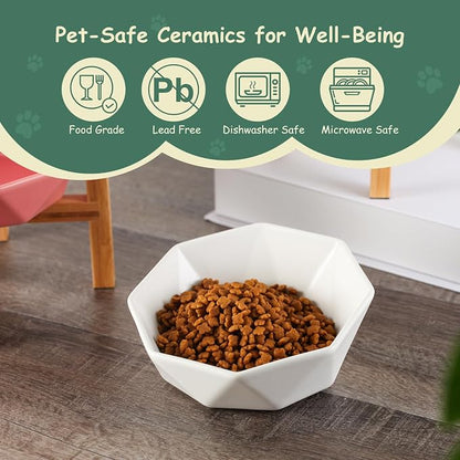 Green with Stand Ceramic Tilted Elevated Raised Pet Bowl with Bamboo Stand for Cats and Dogs No Spill Pet Food Water Feeder