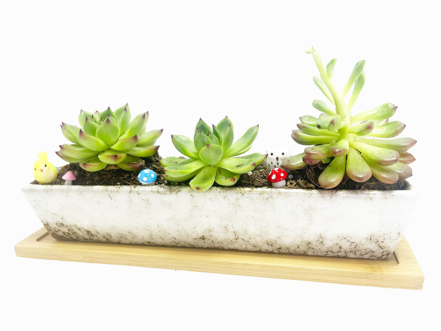 WISH HALLY WOOD 9.8inch White Long Rectangle Ceramic Succulent Planter Pot,one Set of Mini Flower Plant Container with Bamboo Saucers. Product Size:9.8x2.35x1.77 inch,not Include The Plant. (White)