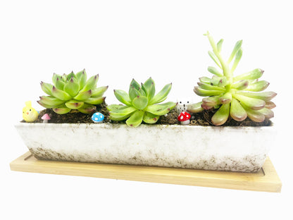 WISH HALLY WOOD 9.8inch White Long Rectangle Ceramic Succulent Planter Pot,one Set of Mini Flower Plant Container with Bamboo Saucers. Product Size:9.8x2.35x1.77 inch,not Include The Plant. (White)