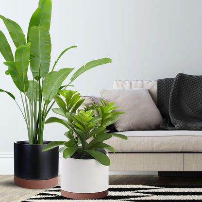 2 Pack Ceramic Plant Saucer Pot Tray 6 Inch, Planter Saucers 4 5 6 7 8 9 10 11 12 13 Inch for Indoors Outdoor, Durable Sturdy Flower Drainage drip Water Tray for Glazed Pots Base (6.4 Inch-Brown)