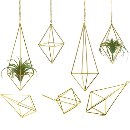libproqia Air Plants Holders Hanging Airplants Hangers Himmeli Metal Wire 4Pcs Geometric Display Airfens Planter Frame 2 Sizes Tillandsia Holder with Chain and Hooks Decor for Home Office