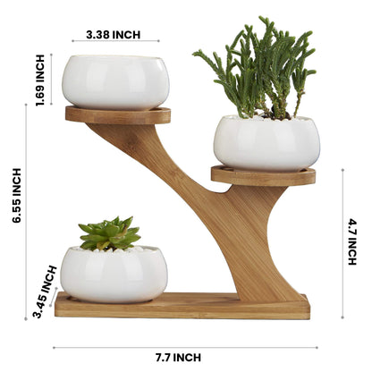 FLOWERPLUS Planter Pots Indoor, 3 Pack 3 Inch White Ceramic Decorative Small Round Succulent Cactus Flower Plant Pot with Tree Tier Bamboo Stand for Garden Kitchen Home Office Desk Decorations