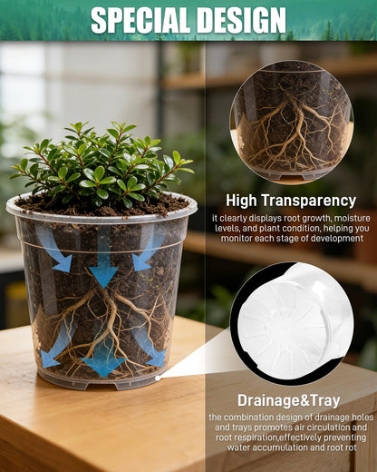 Biotolot 6 Pack Clear Nursery Pots with Drainage 9.5/8/7.5/6.7/5/4.5 Inch Nursery Pots with Saucers Transparent Seedling Pots Including Plant Labels Seed Starting for Indoor Outdoor Home Gardening