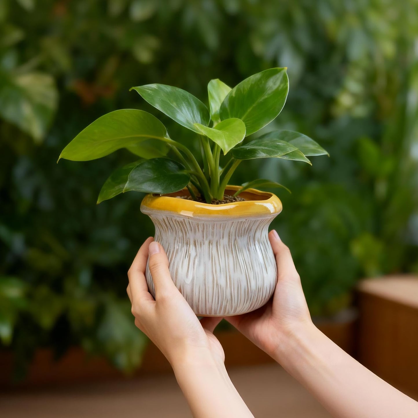 Chonsun 2 Pack Ceramic Plant Pots with Drainage Hole, Two-Tone Textured Planters for Indoor Outdoor Plants, Small Decorative Flower Pots for Succulents Herbs Houseplants