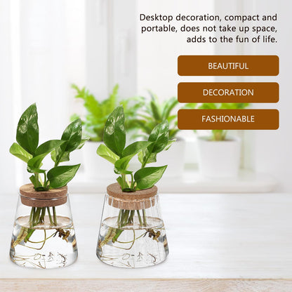 Toyvian 3pcs Hydroponic Plant Vases with Smooth, Hammered, and Vertical Textured Volcanic Glass and Wooden Stoppers for Indoor Propagation, Desktop Terrarium, and Office Plant Accessories