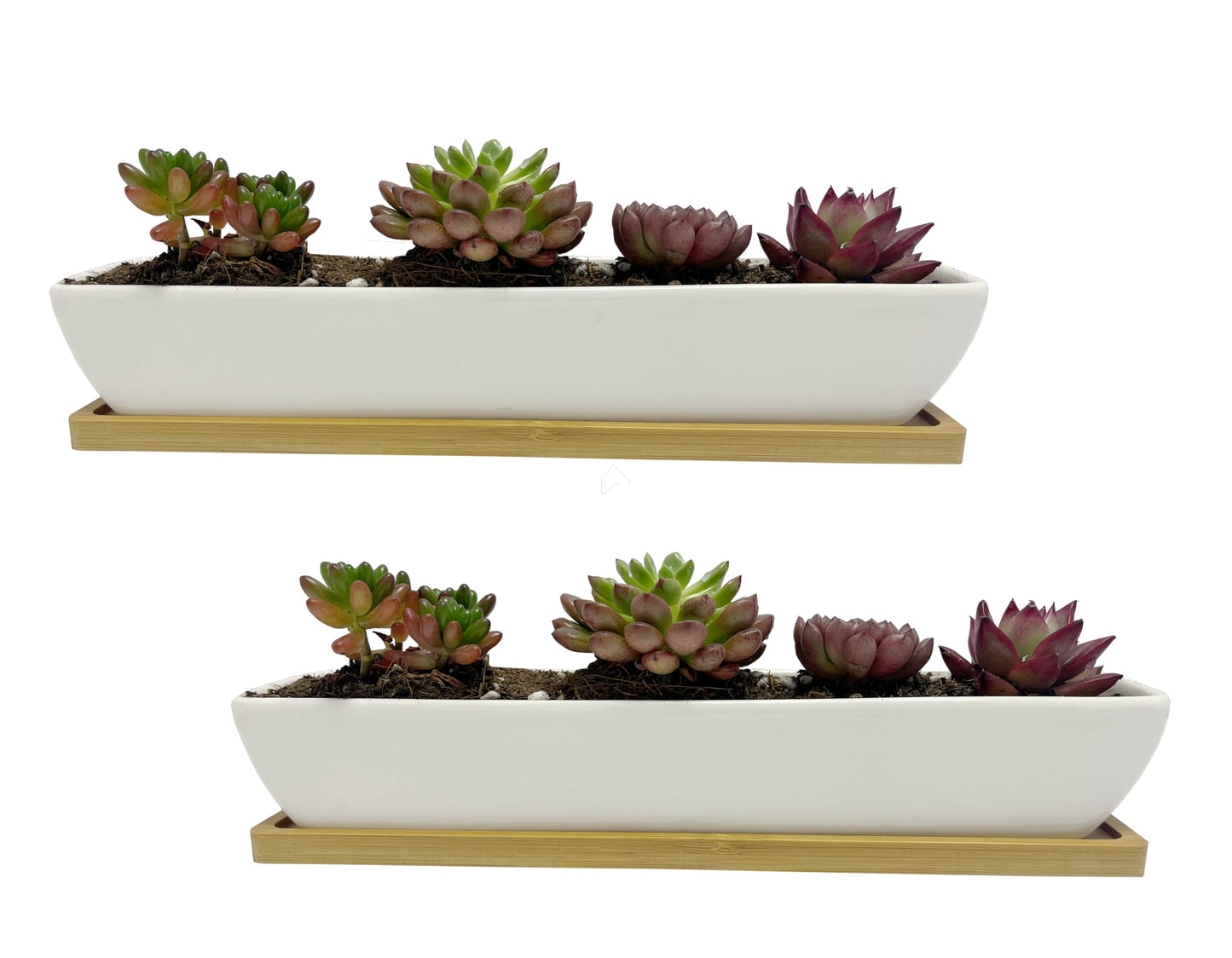 Kipokalor Rectangular Succulent Planter Pot,Two Set of 11.1x2.36x1.77inch Long Rectangular Modern Minimalist White Ceramic with Saucer for Office,Desk,Window. (Bamboo Saucer, Two Set)