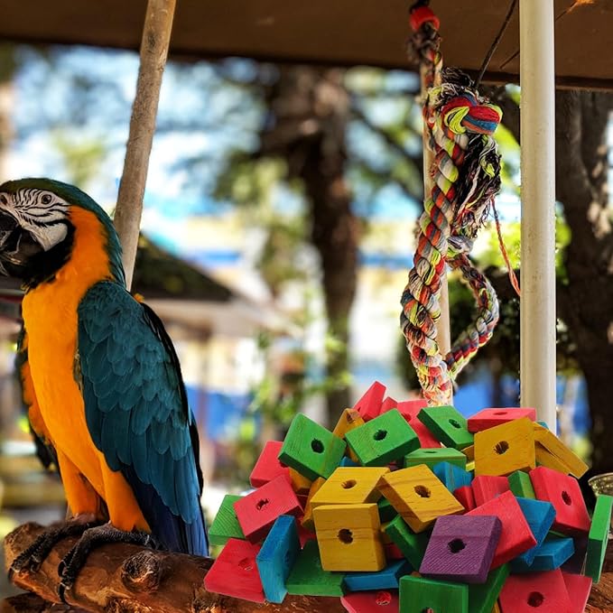 GANAZONO 100Pcs Parrot Wood Blocks Toys Wooden Blocks Bird Chewing Toy Bird Bite Toys Mini Wood Chips DIY Craft for Parrot Playing Chewing