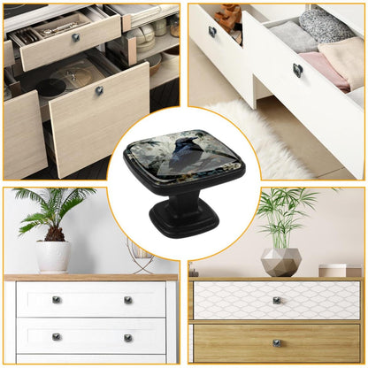 Anna Cowper 4 Pack Kitchen Cabinet Knobs Forest Raven, Black Drawer Knobs Square Knobs for Cabinets and Drawers Single Hole Cabinet Hardware Cupboard Dresser Knobs