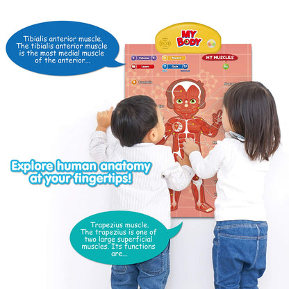 BEST LEARNING i-Poster My Body - Interactive Educational Human Anatomy Talking Toy for Kids Ages 5-12 to Learn Body Parts, Organs, Muscles and Bones Through Fun Sound and Quiz Modes