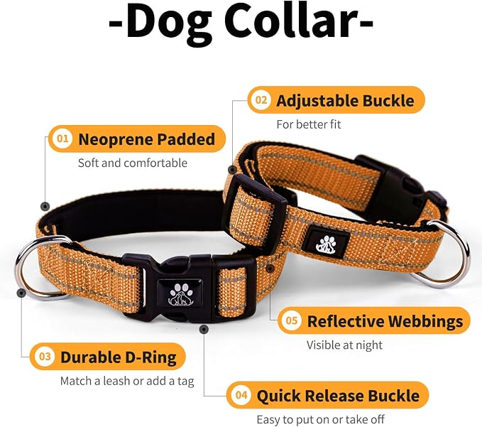 IVY&LANE Reflective Dog Collar and Leash Set,Adjustable Neoprene Padded Dog Collars for Puppy, Breathable Nylon Pet Collar for Small Medium Large Dogs (Medium,Orange)