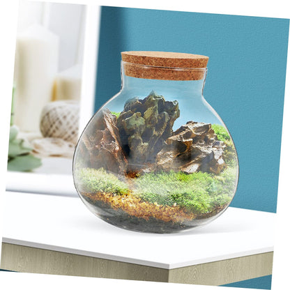 VICASKY Micro Landscape Terrarium Holder Decorative Cork Glass Bottle for Plants DIY Landscaping Round Sealed Container for Home Decor Party Accent