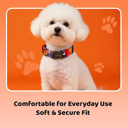 EVERKING Dog Collar & Leash Set for Everyday Walking | Matching adjustable collar and leash set with reflective handle and heavy-duty hardware for comfortable everyday dog walks.