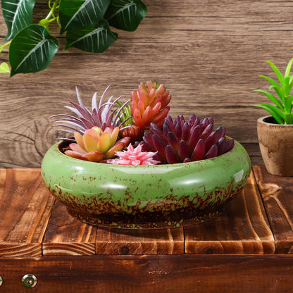 Happyyami Succulent Planter Pot 7.08In Round Shallow Bonsai Bowl with Drainage Hole for Desktop Cactus and Small Plants Decorative Container