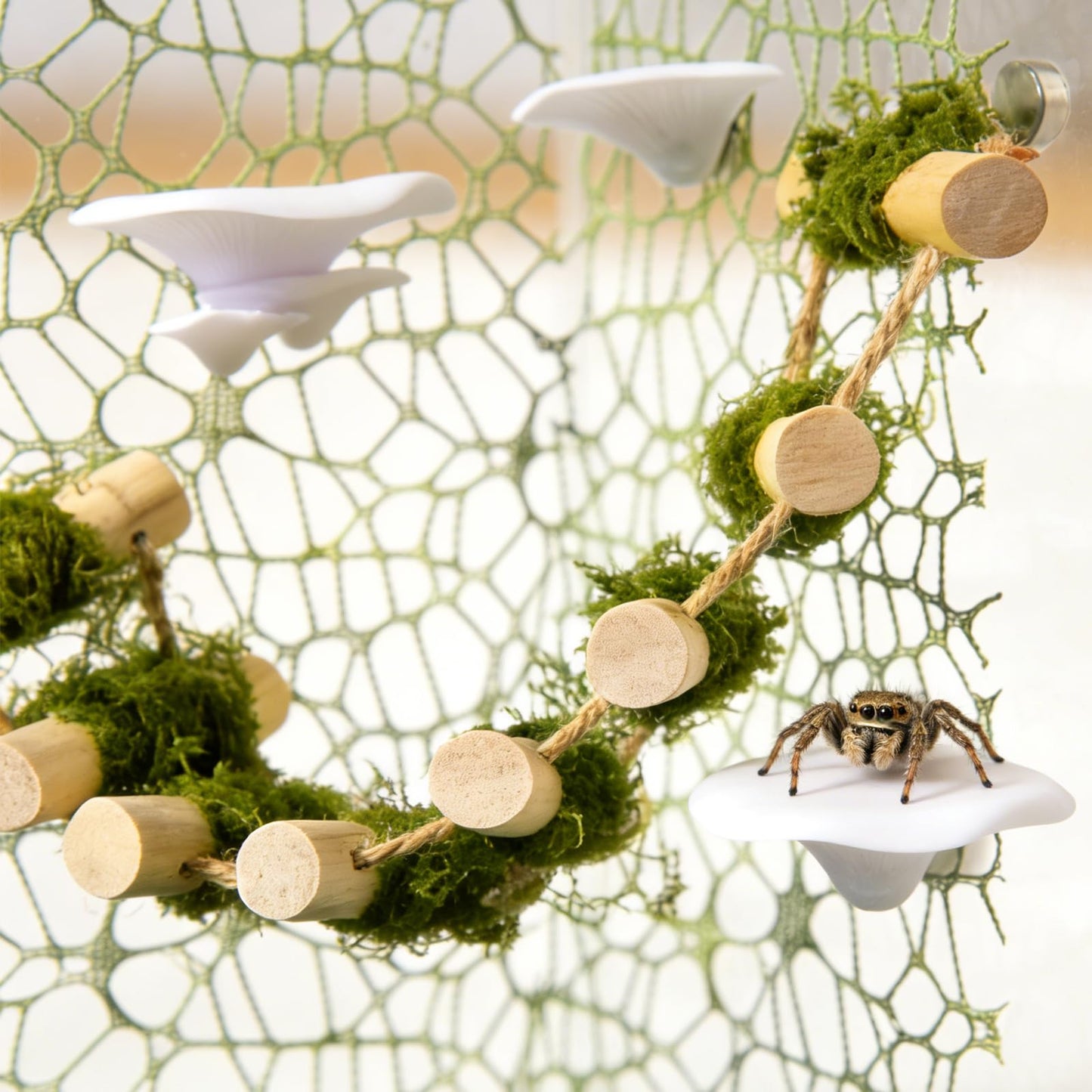 Swirge 6Pcs Jumping Spider Climbing Accessories Set, 1 Wooden Rope Bridge, 3 Mushroom Platform, 2 Climbing Net Decoration