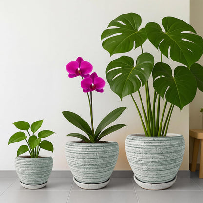Deep Dream 6 Inch Plant Pots- Ceramic Planter Pot with Drainage Hole and Saucer, Round Flower Pot for Indoor Outdoor Succulent, Snake Plants and Cactus, Brushed Green
