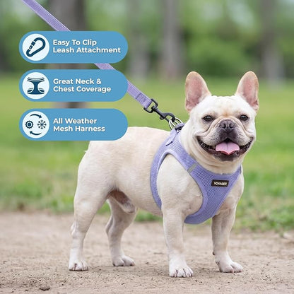 Best Pet Supplies Voyager Step-in Air All Weather Mesh Harness and Reflective Dog 5ft Leash Combo with Neoprene Handle, for Small, Medium and Large Breed Puppies - Lavender, XL