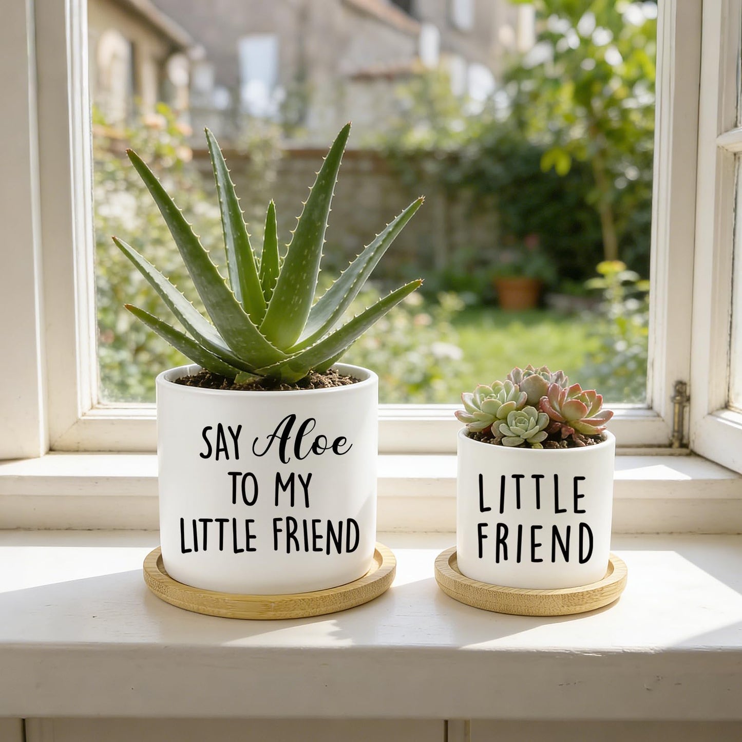 Msyueos Say Aloe to My Little Friend Planter Pot, Funny Plant Pots, Aloe Plant Pot Succulent Pots with Tray Set of 2 Flower Pots Indoor Pot - Without Plants, Office Home Windowsill Gifts (No Plant)