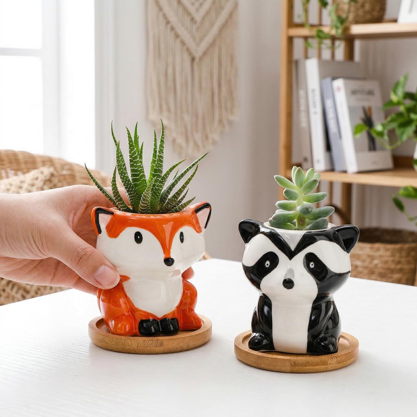 Pumtus 6 Pack Small Succulent Pots with Drainage Hole, 3 Inch Cute Ceramic Animal Planter with Saucer, Unique Air Plant Holder, Desktop Plant Flower Pot for Indoor Plants, Cactus, Garden, Home Decor