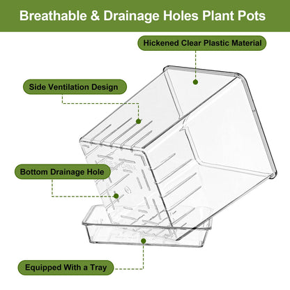 IWNTWY Clear Plant Pots, 6/5/4/3 Inch Set of 4 Flowers Pot with Drainage Holes and Saucer for Indoor Outdoor Plants, Breathable Plastic Planters Orchid Pot for Repotting